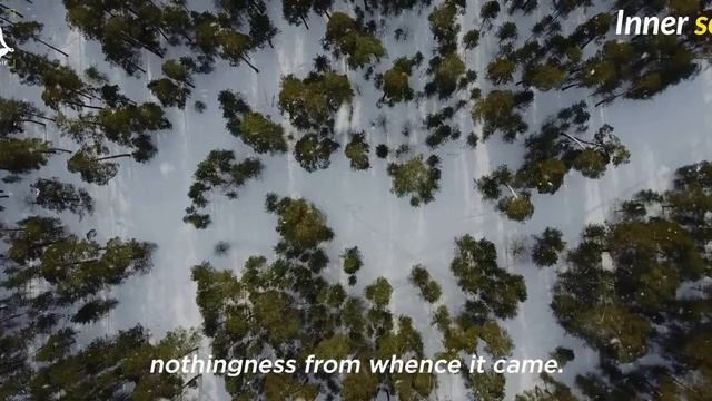 Try This For 7 Days , It's A Most Powerful Healing Technique Ever, Louise hay