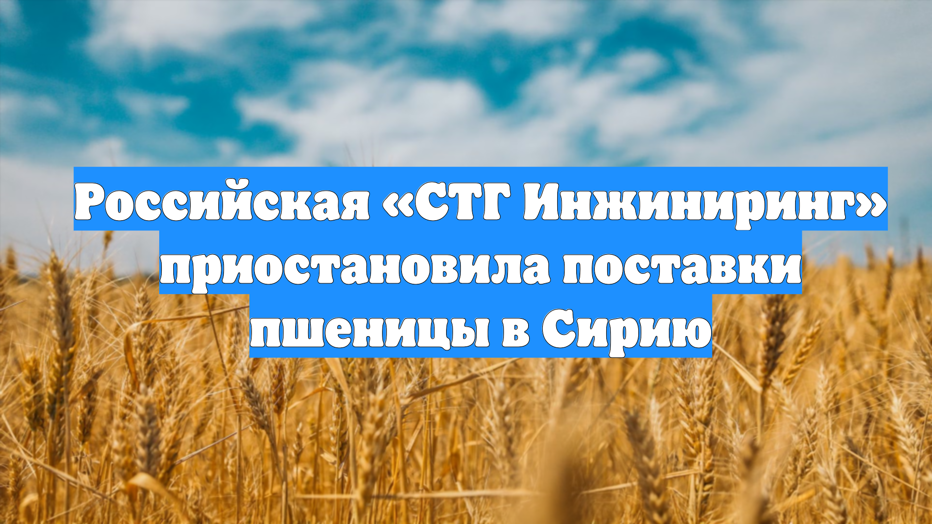 Российская «СТГ Инжиниринг» приостановила поставки пшеницы в Сирию