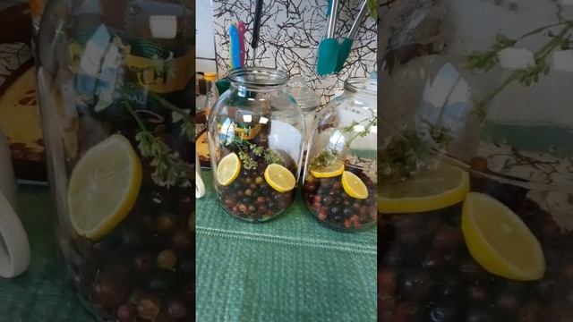 Мохито на зиму из крыжовника.