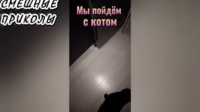 Смешные видео ПРИКОЛЫ - Лучшие ПРИКОЛЫ (50)