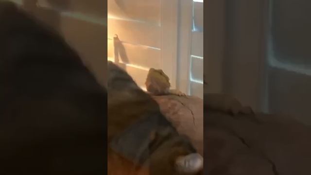 1000070676.mp4