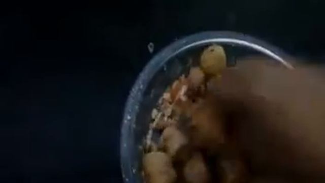 soyachunks fry (Malayalam)