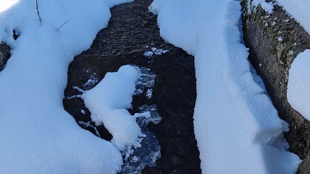 Лыжная прогулка в январскую солнечную погоду. Озеро в окрестностях мкр. Железнодорожный. 21012024.