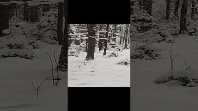 1000000934.mp4