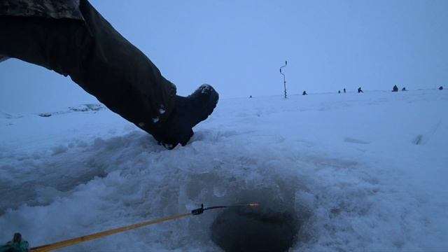 08.01.25. Комарово. Лайнер.