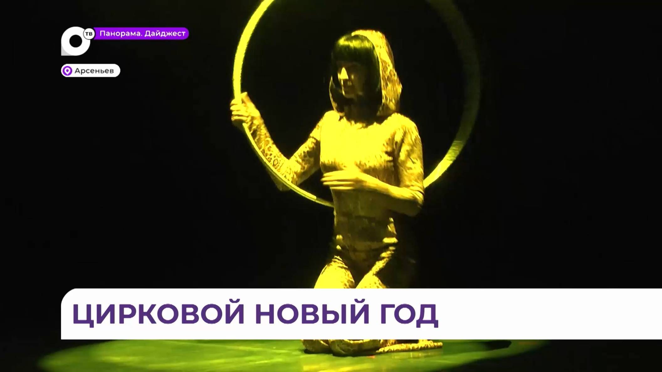 Лучшие номера цирковой школы «Весёлая арена» вошли в программу представления в Арсеньеве
