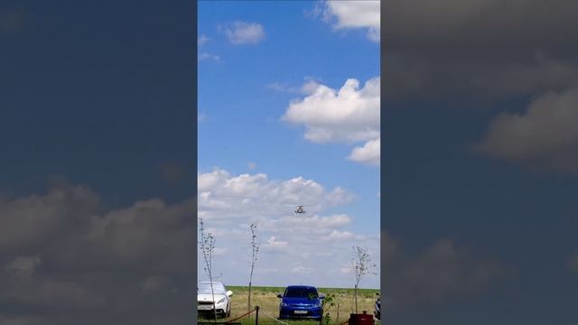 В один прекрасный день отпуска,загорая на пляже местного озера,повстречался вот такой красавчик.