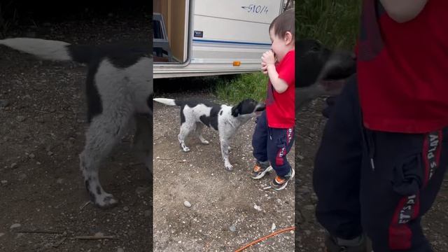 Остановка с домом на колесах. Дети играют с щенком🥰
