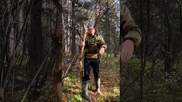 Боли в спине пройдут