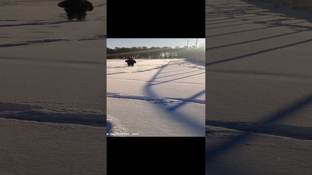 Глеб.Тренировка 💪 на выносливость.