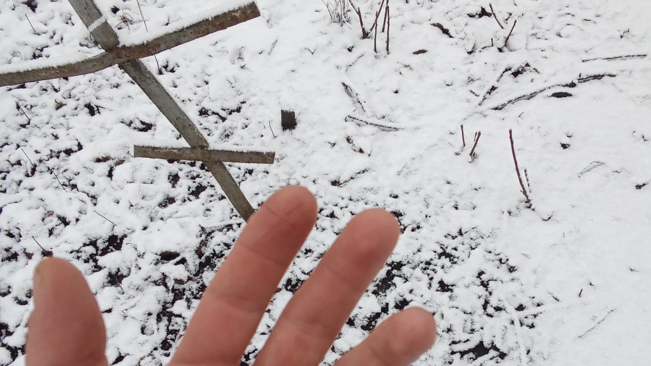 Красота Некрополя Зимой