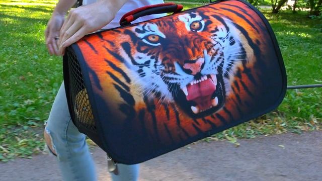 Сумка-переноска для кошек и собак от Optimum, ТИГР