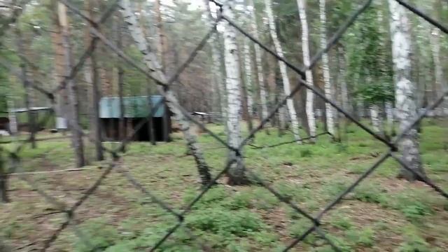 0fcf98aa-8119-4977-b849-e753cac3dec7-1_all_138.mp4