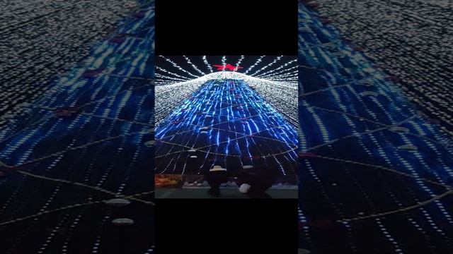 Ёлка в Луганске . Рождество 2025
1000051600.mp4