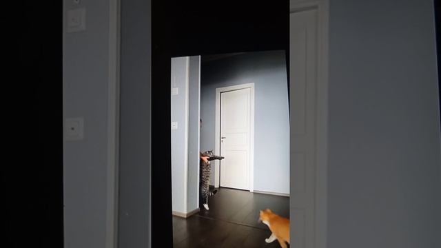 1000113267.mp4
