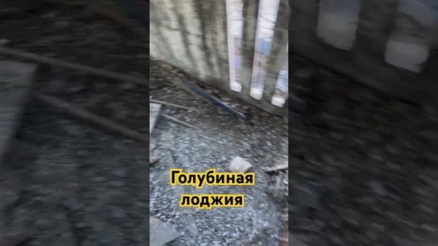 Голубиный балкон) #остекление #балконподключ #пластиковыеокна #ремонт