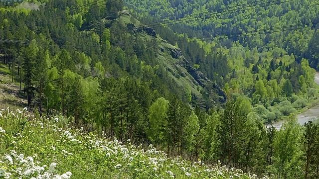 Весенняя прогулка на Царскую гору 24.05.2024г