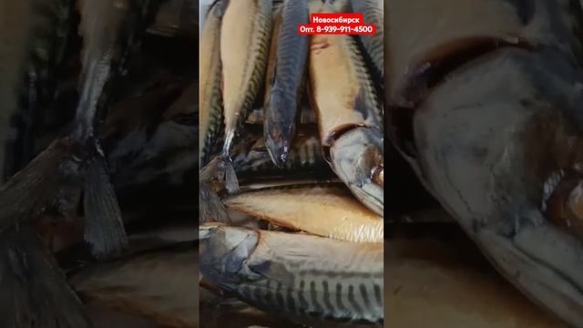 🔴 Вкусная и качественная рыба в Новосибирске 🔥 #дорадо #сибас #форель #окуньморской #окунь #стерляд