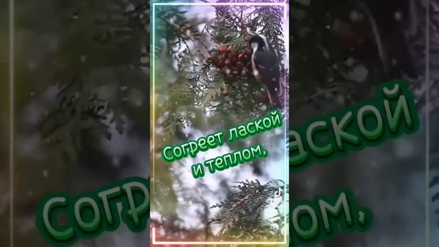 669fd04e06ab7f46d89e939f273f31a6.mp4 Елена Дружиненко Доброго утра всем!