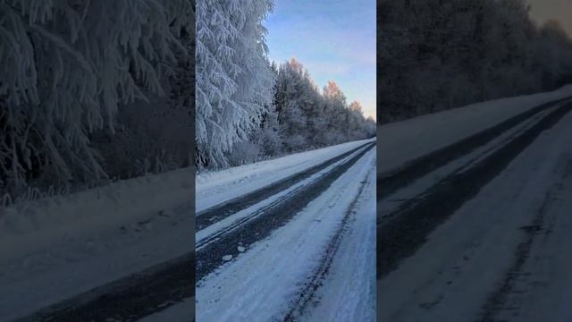 Неадекватный паренек бегает по лесу