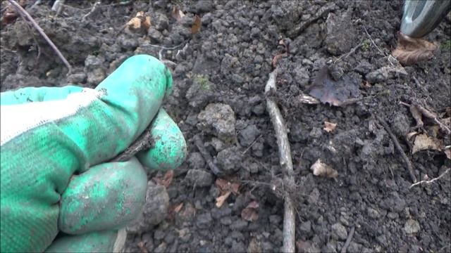 Коп фундамента, один день в октябре