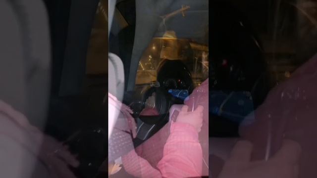 Кошка рулит🤣🤣🤣 #Shorts #юмор #мемы #приколы #дорога #поездка