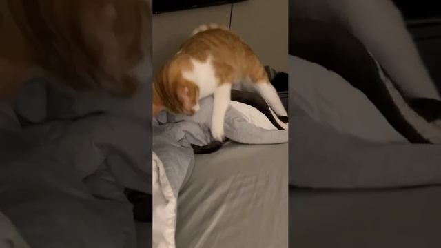 1000070698.mp4