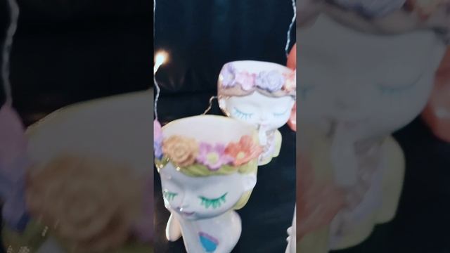petal_20250106_185945.mp4