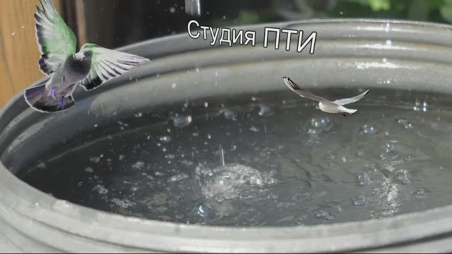 ИюльскийГрад