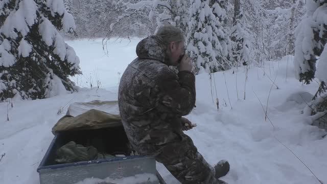 ТАЕЖНЫЙ. Второй заезд на участок,один в тайге,изба,отрыв от цивилизации.