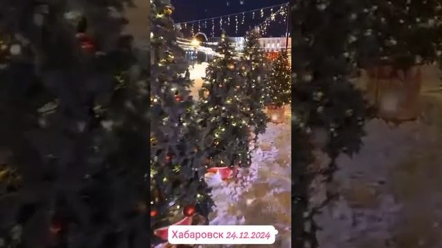 Новогодний вечерний Хабаровск