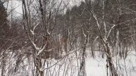 Это фиаско #рыбалканаурале