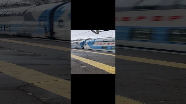 #ЧС6 - 019 с фирменным поездом Аврора