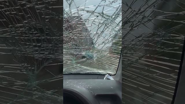 Где много-много диких обезьян