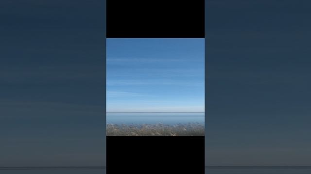 VID_20250108_093937.mp4