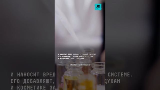 Токсичные духи. Выбор пищи - выбор судьбы