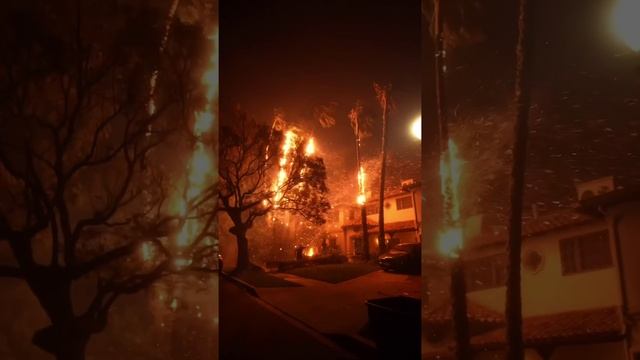 Апокалипсис в Лос-Анджелесе — город горит вторые сутки, огонь не щадит никого.