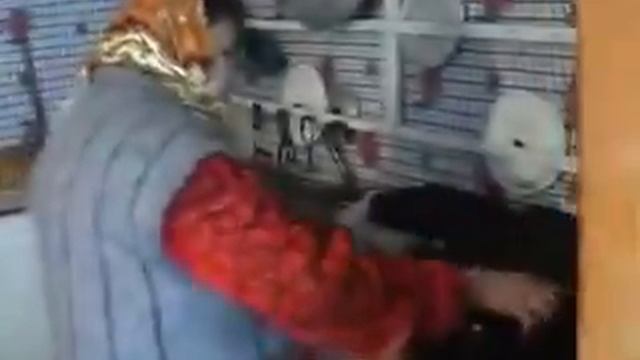 Зіньківська ковбаса