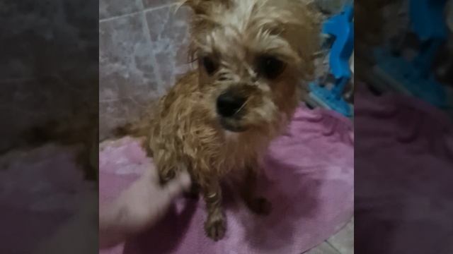 4 ДеКАбря 2024г..mp4