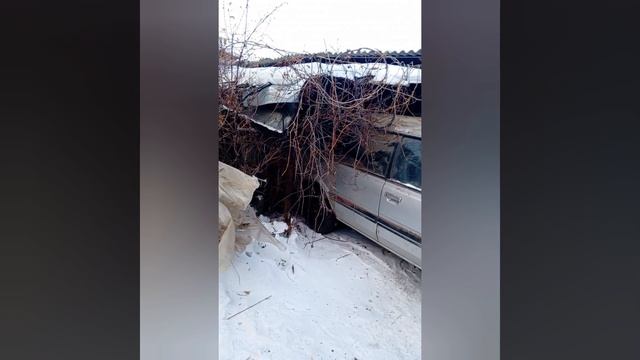 15 лет в сарае, Subaru Leone