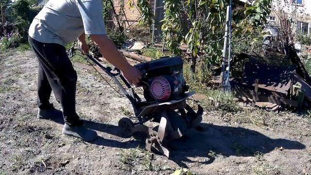 ДЕРЕВЕНСКИЕ МЫ!!ОДНО УБИРАЕМ,ДРУГОЕ СЕЕМ!!!ОГОРОД СКУЧАТЬ НЕ ДАЕТ!!!Деревенский влог