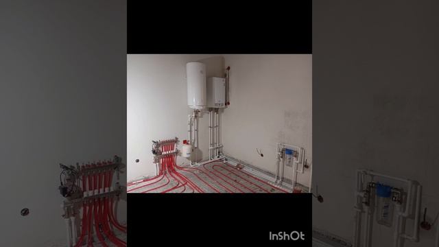 1000106264.mp4