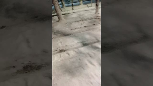 scene_output.mp4