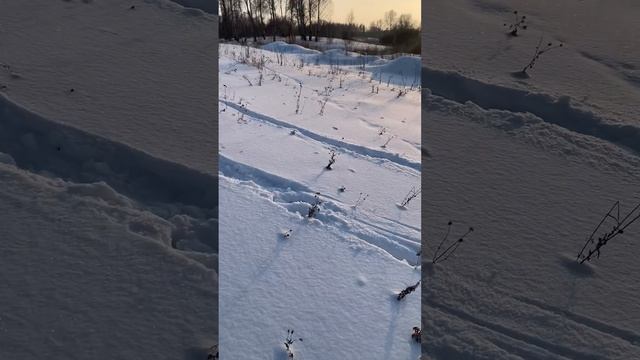 Охота на зайца в одиночку