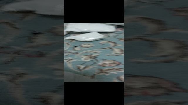 246