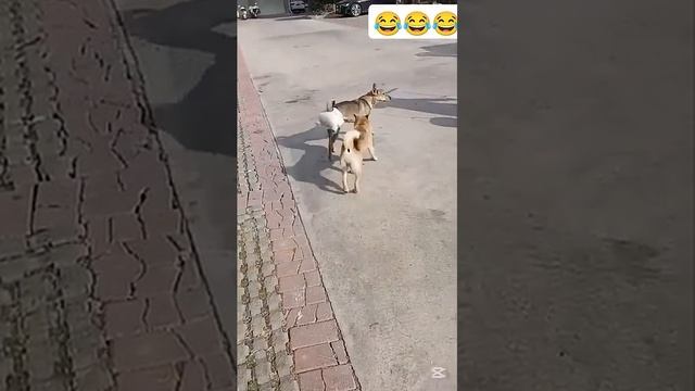 🤣🤣Нужные лайфхаки🤣!Берите на вооружение