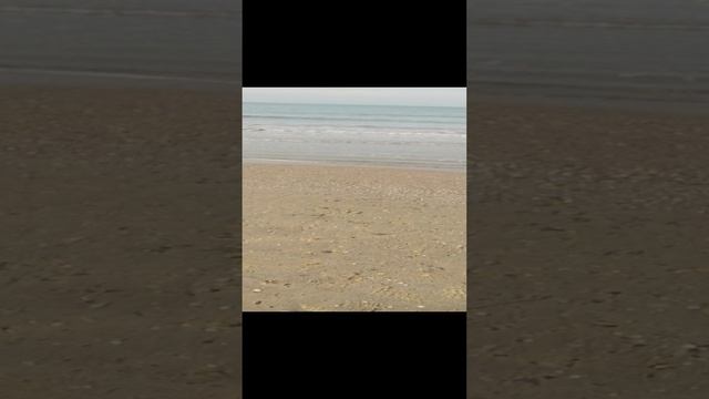 заманали всепропальщики)