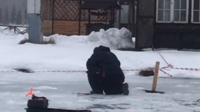 Поклевка форели