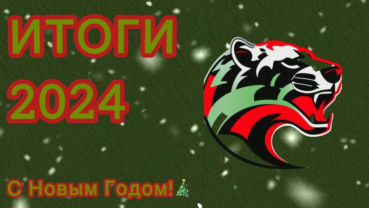 ИТОГИ 2024/С Новым Годом!