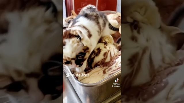 Шок! Это! Не! Мороженное! Вы будете в шоке. 🤯🤯🤯